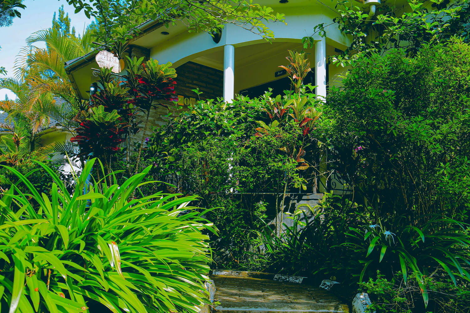 Boutique cottage veranda surrounded by tropical gardens
